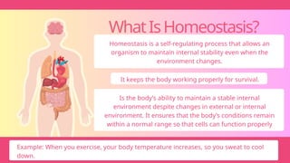 WhatIsHomeostasis?
Homeostasis is a self-regulating process that allows an
organism to maintain internal stability even when the
environment changes.
It keeps the body working properly for survival.
Is the body’s ability to maintain a stable internal
environment despite changes in external or internal
environment. It ensures that the body’s conditions remain
within a normal range so that cells can function properly
Example: When you exercise, your body temperature increases, so you sweat to cool
down.
 