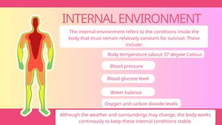 INTERNALENVIRONMENT
The internal environment refers to the conditions inside the
body that must remain relatively constant for survival. These
include:
Body temperature (about 37 degree Celsius
Blood pressure
Blood glucose level
Water balance
Oxygen and carbon dioxide levels
Although the weather and surroundings may change, the body works
continously to keep these internal conditions stable.
 