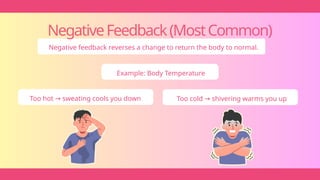 NegativeFeedback(MostCommon)
Negative feedback reverses a change to return the body to normal.
Example: Body Temperature
Too hot sweating cools you down
→ Too cold shivering warms you up
→
 