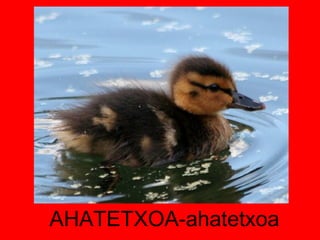 AHATETXOA-ahatetxoa 