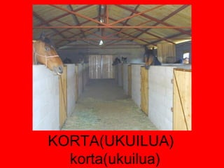 KORTA(UKUILUA)  korta(ukuilua) 