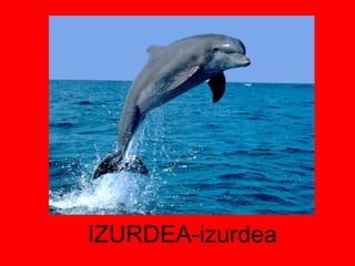 IZURDEA-izurdea 