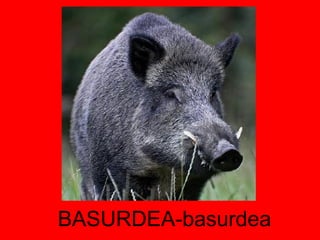 BASURDEA-basurdea 