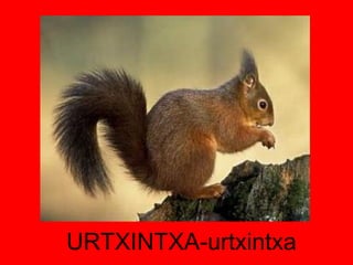 URTXINTXA-urtxintxa 
