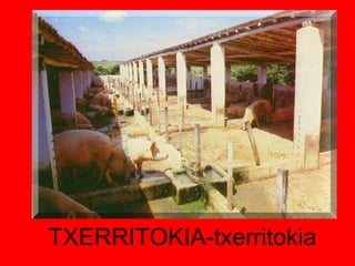 TXERRITOKIA-txerritokia 
