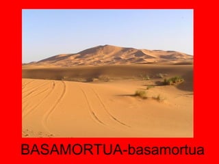 BASAMORTUA-basamortua 