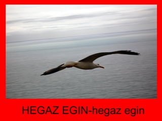 HEGAZ EGIN-hegaz egin 