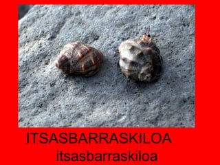 ITSASBARRASKILOA  itsasbarraskiloa 