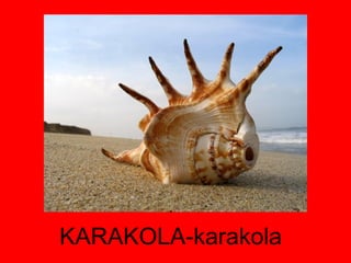 KARAKOLA-karakola 