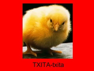 TXITA-txita 