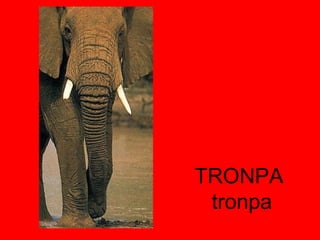 TRONPA  tronpa 