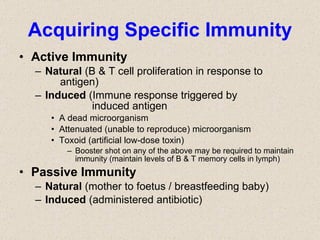 Acquiring Specific Immunity Active Immunity Natural  (B & T cell proliferation in response to    antigen) Induced  (Immune response triggered by    induced antigen A dead microorganism Attenuated (unable to reproduce) microorganism Toxoid (artificial low-dose toxin) Booster shot on any of the above may be required to maintain immunity (maintain levels of B & T memory cells in lymph) Passive Immunity Natural  (mother to foetus / breastfeeding baby) Induced  (administered antibiotic) 