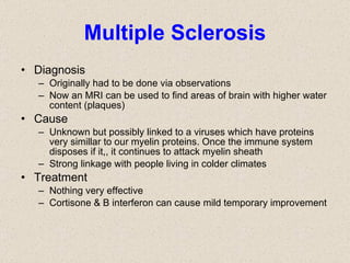 Multiple Sclerosis Diagnosis Originally had to be done via observations Now an MRI can be used to find areas of brain with higher water content (plaques) Cause Unknown but possibly linked to a viruses which have proteins very simillar to our myelin proteins. Once the immune system disposes if it,, it continues to attack myelin sheath Strong linkage with people living in colder climates Treatment Nothing very effective Cortisone & B interferon can cause mild temporary improvement  