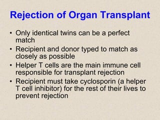 Rejection of Organ Transplant Only identical twins can be a perfect match Recipient and donor typed to match as closely as possible Helper T cells are the main immune cell responsible for transplant rejection Recipient must take cyclosporin (a helper T cell inhibitor) for the rest of their lives to prevent rejection 