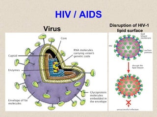 HIV / AIDS Virus Disruption of HIV-1  lipid surface 