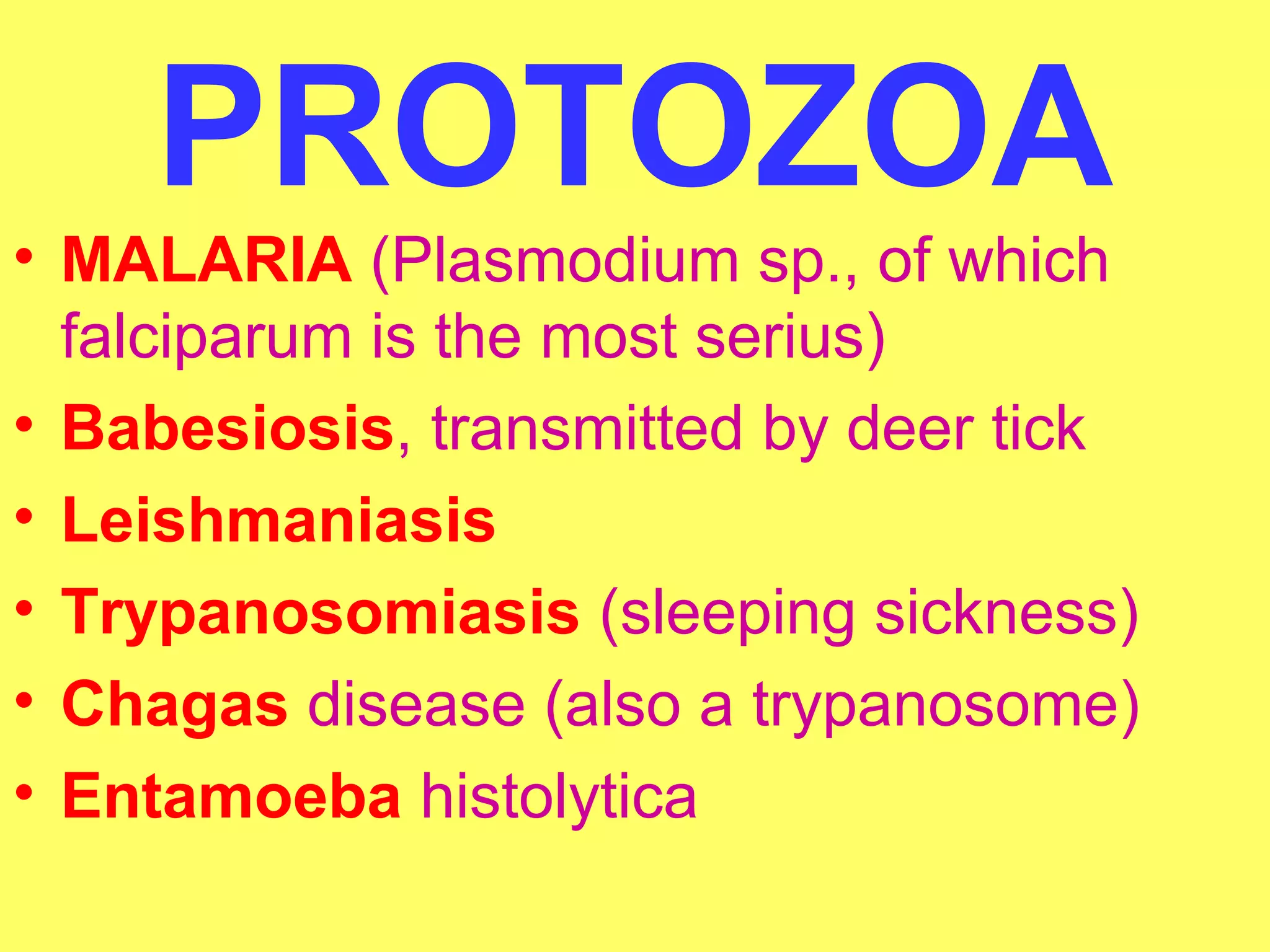 PROTOZOA 
• MALARIA (Plasmodium sp., of which 
falciparum is the most serius) 
• Babesiosis, transmitted by deer tick 
• Leishmaniasis 
• Trypanosomiasis (sleeping sickness) 
• Chagas disease (also a trypanosome) 
• Entamoeba histolytica 
 