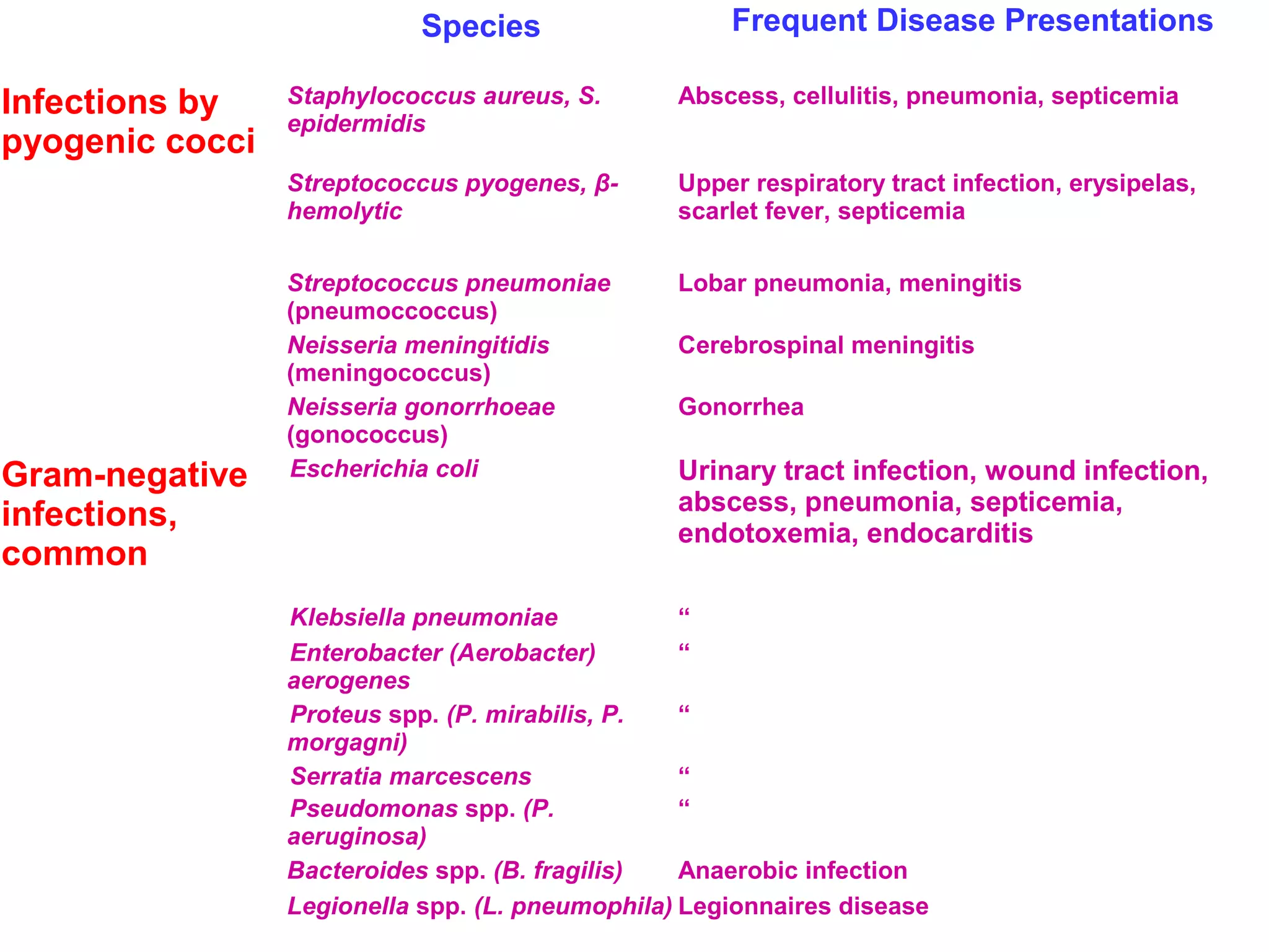 Species Frequent Disease Presentations 
Infections by 
pyogenic cocci 
Staphylococcus aureus, S. 
epidermidis 
Abscess, cellulitis, pneumonia, septicemia 
Streptococcus pyogenes, β- 
hemolytic 
Upper respiratory tract infection, erysipelas, 
scarlet fever, septicemia 
Streptococcus pneumoniae 
(pneumoccoccus) 
Lobar pneumonia, meningitis 
Neisseria meningitidis 
(meningococcus) 
Cerebrospinal meningitis 
Neisseria gonorrhoeae 
(gonococcus) 
Gonorrhea 
Gram-negative 
infections, 
common 
Escherichia coli Urinary tract infection, wound infection, 
abscess, pneumonia, septicemia, 
endotoxemia, endocarditis 
Klebsiella pneumoniae “ 
Enterobacter (Aerobacter) 
“ 
aerogenes 
Proteus spp. (P. mirabilis, P. 
morgagni) 
“ 
Serratia marcescens “ 
Pseudomonas spp. (P. 
“ 
aeruginosa) 
Bacteroides spp. (B. fragilis) Anaerobic infection 
Legionella spp. (L. pneumophila) Legionnaires disease 
 