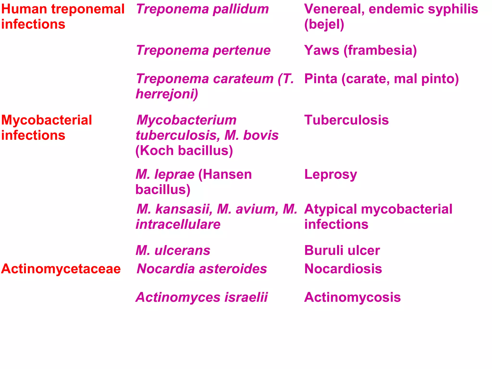 Human treponemal 
infections 
Treponema pallidum Venereal, endemic syphilis 
(bejel) 
Treponema pertenue Yaws (frambesia) 
Treponema carateum (T. 
herrejoni) 
Pinta (carate, mal pinto) 
Mycobacterial 
infections 
Mycobacterium 
tuberculosis, M. bovis 
(Koch bacillus) 
Tuberculosis 
M. leprae (Hansen 
bacillus) 
Leprosy 
M. kansasii, M. avium, M. 
intracellulare 
Atypical mycobacterial 
infections 
M. ulcerans Buruli ulcer 
Actinomycetaceae Nocardia asteroides Nocardiosis 
Actinomyces israelii Actinomycosis 
 