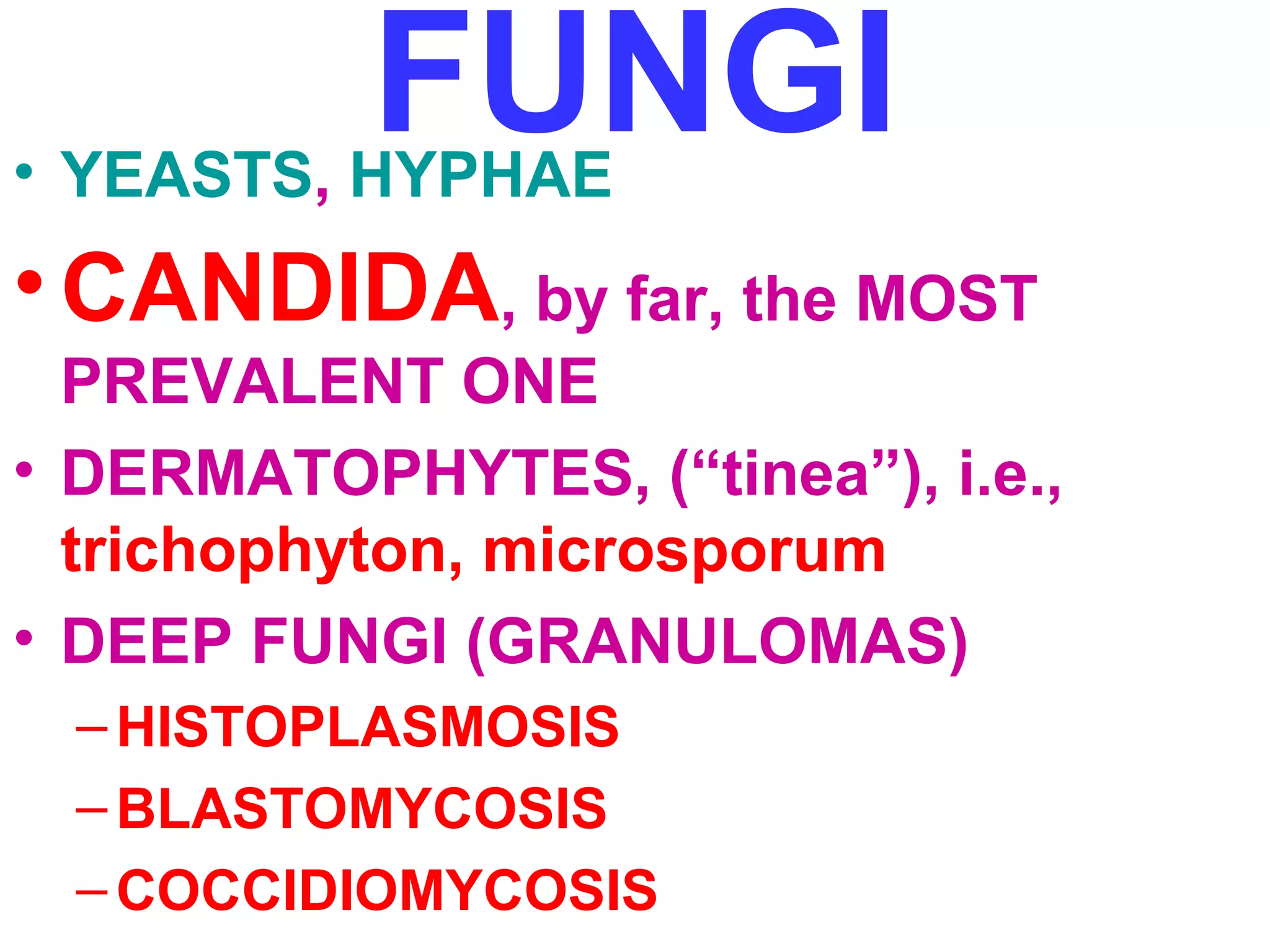 FUNGI • YEASTS, HYPHAE 
•CANDIDA, by far, the MOST 
PREVALENT ONE 
• DERMATOPHYTES, (“tinea”), i.e., 
trichophyton, microsporum 
• DEEP FUNGI (GRANULOMAS) 
– HISTOPLASMOSIS 
–BLASTOMYCOSIS 
–COCCIDIOMYCOSIS 
 