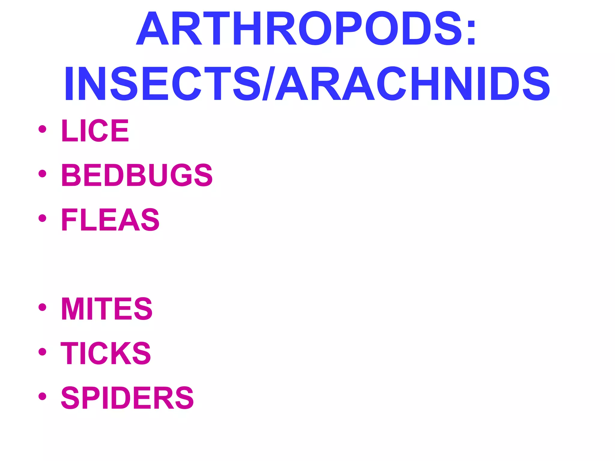 ARTHROPODS: 
INSECTS/ARACHNIDS 
• LICE 
• BEDBUGS 
• FLEAS 
• MITES 
• TICKS 
• SPIDERS 
 