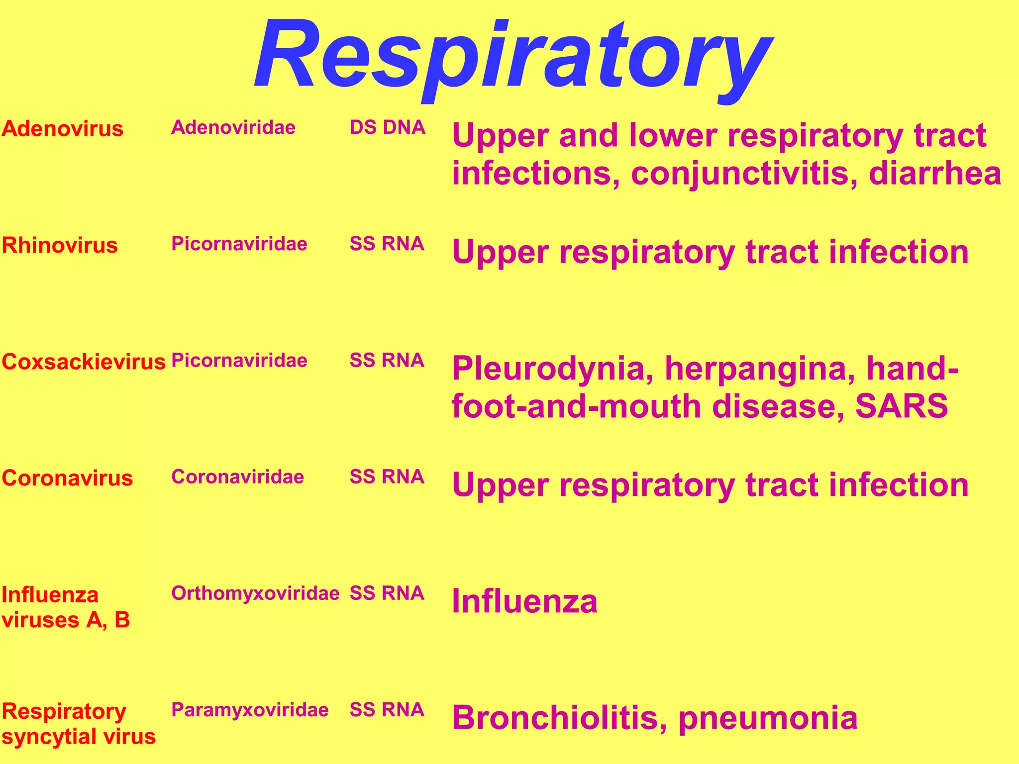 Respiratory 
Adenovirus Adenoviridae DS DNA Upper and lower respiratory tract 
infections, conjunctivitis, diarrhea 
Rhinovirus Picornaviridae SS RNA Upper respiratory tract infection 
Coxsackievirus Picornaviridae SS RNA Pleurodynia, herpangina, hand-foot- 
and-mouth disease, SARS 
Coronavirus Coronaviridae SS RNA Upper respiratory tract infection 
Influenza 
viruses A, B 
Orthomyxoviridae SS RNA Influenza 
Respiratory 
syncytial virus 
Paramyxoviridae SS RNA Bronchiolitis, pneumonia 
 