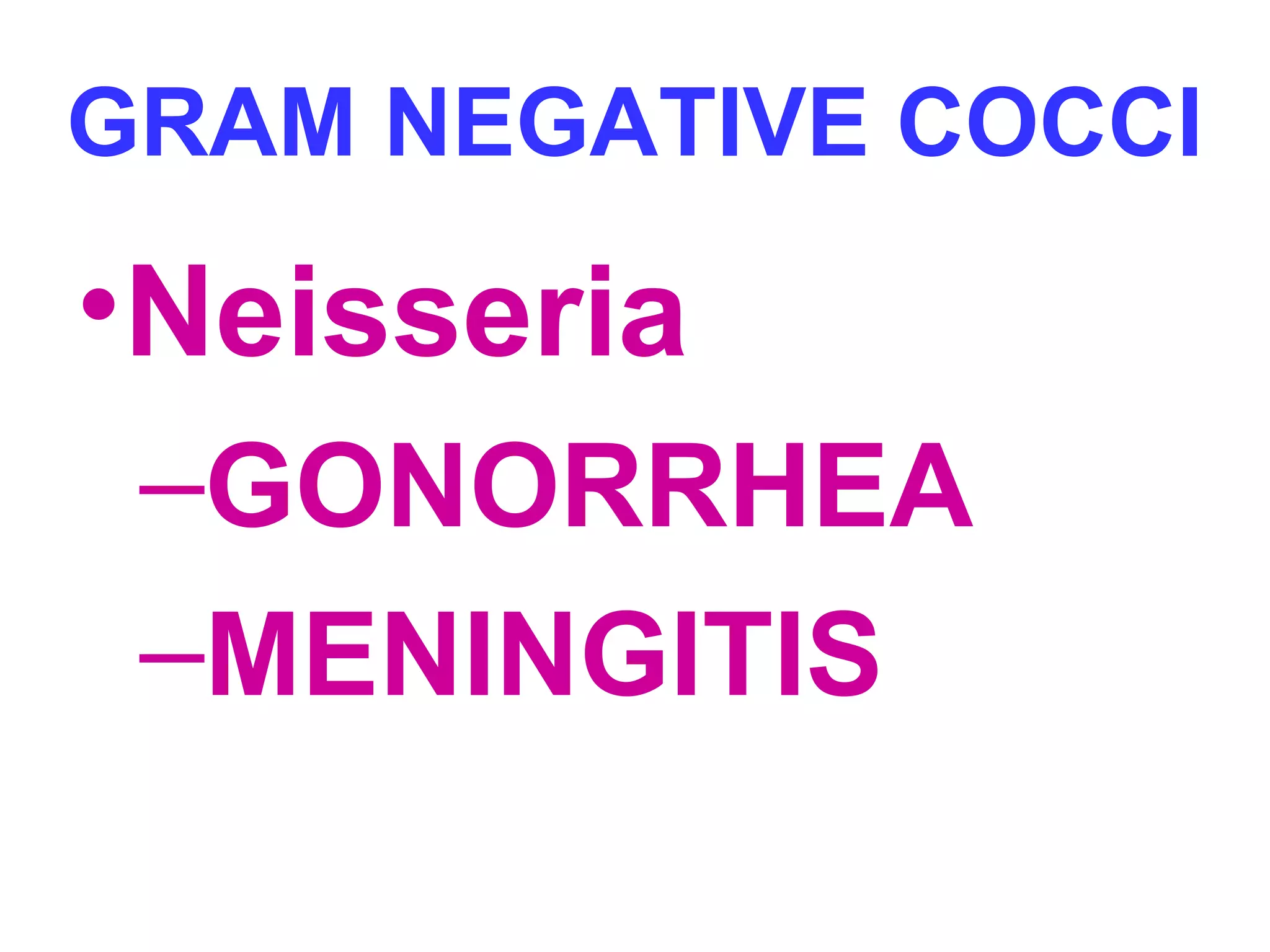 GRAM NEGATIVE COCCI 
•Neisseria 
–GONORRHEA 
–MENINGITIS 
 