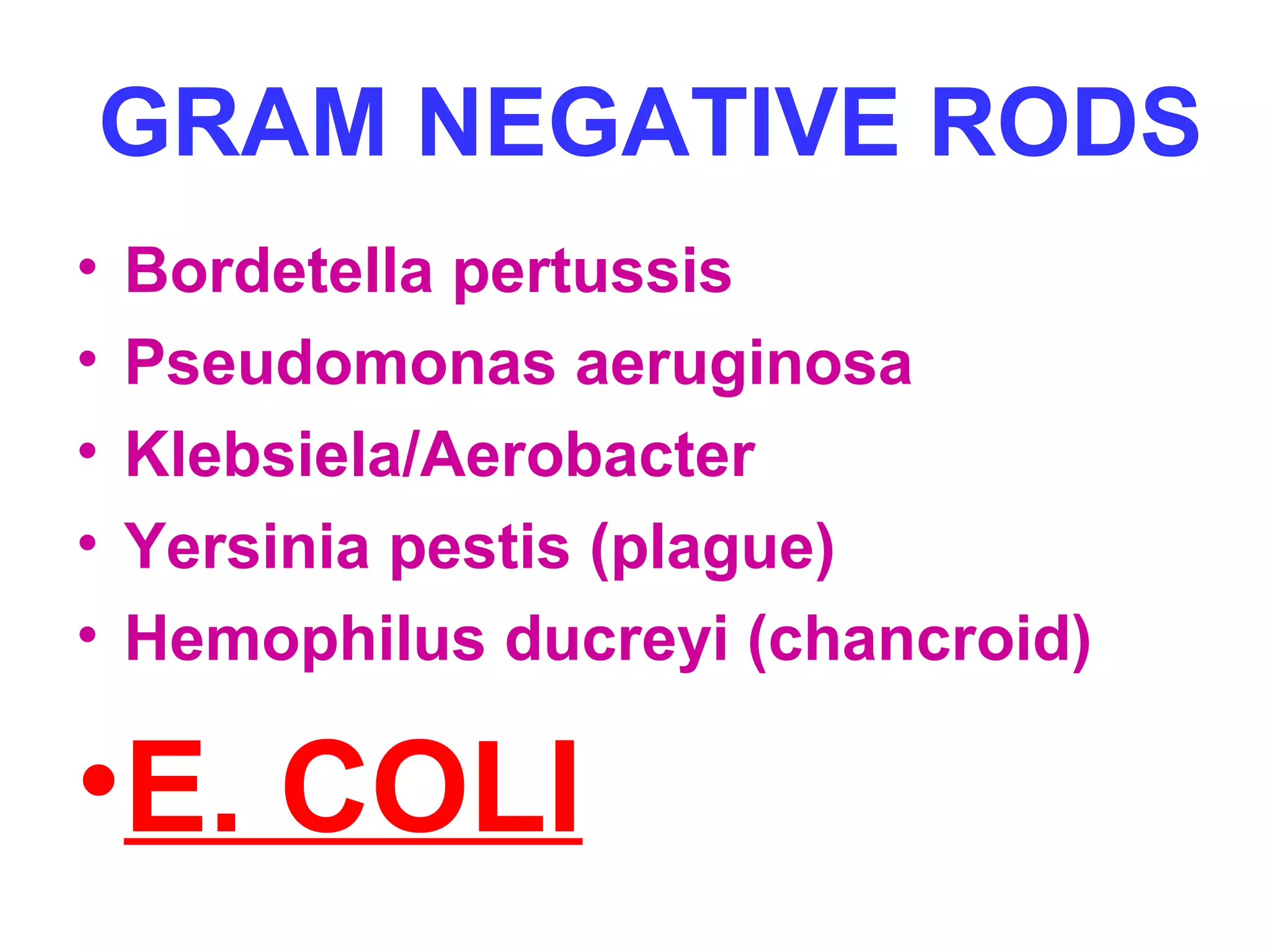 GRAM NEGATIVE RODS 
• Bordetella pertussis 
• Pseudomonas aeruginosa 
• Klebsiela/Aerobacter 
• Yersinia pestis (plague) 
• Hemophilus ducreyi (chancroid) 
•E. COLI 
 