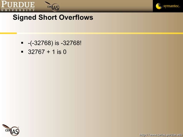 8.Integer Overflows | PPT