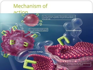 Mechanism of
action
 