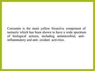 Curcumin is the main yellow bioactive component of
turmeric which has been shown to have a wide spectrum
of biological actions, including antimicrobial, anti-
inflammatory and anti- oxidant activities.
 
