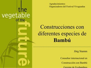 Agradecimientos:
     Organizadores del Festival Vivaguadua




 Construcciones con
diferentes especies de
       Bambú
                              Jörg Stamm

                Consultor internacional en
                 Construcción con Bambú
 