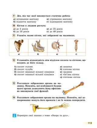 113
9	
Дія, під час якої виконується статична робота:
а)	 штовхання вантажу	 в)	 утримання вантажу
б)	 підняття вантажу	 г)	 підкидання вантажу
10	
Кістки в людини ростуть:
а)	 до 5 років	 в)	 до 25 років	
б)	 до 18 років	 г)	 до 40 років
11	
Укажіть назви кісток, які зображені на малюнках.
а) б) в) г)
12	
Установіть відповідність між відділом скелета та кісткою, що
входить до його складу.
1)	 скелет голови
2)	 скелет тулуба
3)	 скелет верхньої вільної кінцівки
4)	 скелет нижньої вільної кінцівки
а)	 лопатка
б)	 плечова кістка
в)	 грудина
г)	 тім’яна кістка
д)	 стегнова кістка
13	
Розгляньте зображення органа на ма-
люнку. Поясніть, які особливості будови
цього органа дозволяють йому ефектив-
но виконувати свої функції.
14	
Розгляньте зображення органа на малюнку. Поясніть, які за-
хворювання можуть його вражати і як їх можна попередити.
Перевірте свої знання з теми «Опора та рух».
 