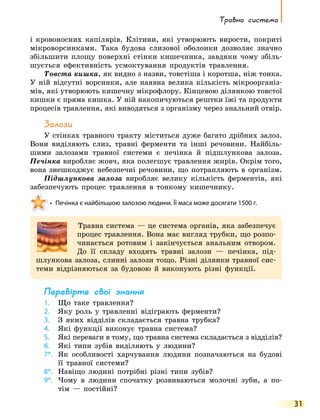 Травна система
31
і кровоносних капілярів. Клітини, які утворюють вирости, покриті
мікроворсинками. Така будова слизової оболонки дозволяє значно
збільшити площу поверхні стінки кишечника, завдяки чому збіль-
шується ефективність усмоктування продуктів травлення.
Товста кишка, як видно з назви, товстіша і коротша, ніж тонка.
У ній відсутні ворсинки, але наявна велика кількість мікроорганіз-
мів, які утворюють кишечну мікрофлору. Кінцевою ділянкою товстої
кишки є пряма кишка. У ній накопичуються рештки їжі та продукти
процесів травлення, які виводяться з організму через анальний отвір.
Залози
У стінках травного тракту міститься дуже багато дрібних залоз.
Вони виділяють слиз, травні ферменти та інші речовини. Найбіль-
шими залозами травної системи є печінка й підшлункова залоза.
Печінка виробляє жовч, яка полегшує травлення жирів. Окрім того,
вона знешкоджує небезпечні речовини, що потрапляють в організм.
Підшлункова залоза виробляє велику кількість ферментів, які
забезпечують процес травлення в тонкому кишечнику.
•	 Печінка є найбільшою залозою людини. Її маса може досягати 1500 г.
Травна система — це система органів, яка забезпечує
процес травлення. Вона має вигляд трубки, що розпо-
чинається ротовим і закінчується анальним отвором.
До її складу входять травні залози — печінка, під-
шлункова залоза, слинні залози тощо. Різні ділянки травної сис-
теми відрізняються за будовою й виконують різні функції.
Перевірте свої знання
1.	 Що таке травлення?
2.	 Яку роль у травленні відіграють ферменти?
3.	 З яких відділів складається травна трубка?
4.	 Які функції виконує травна система?
5.	 Які переваги в тому, що травна система складається з відділів?
6.	 Які типи зубів виділяють у людини?
7*.	
Як особливості харчування людини позначаються на будові
її травної системи?
8*.	 Навіщо людині потрібні різні типи зубів?
9*.	
Чому в людини спочатку розвиваються молочні зуби, а по-
тім — постійні?
 