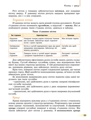 Кістки і хрящі
99
Ріст кісток у товщину забезпечується окістям, яке покриває
кістку зверху. У довжину кістки ростуть завдяки хрящовим про-
шаркам, які є в них усередені.
З’єднання кісток
З’єднання кісток можуть мати різний ступінь рухливості. Рухомі
з’єднання кісток називають суглобами, а нерухомі — швами. Які ж
особливості різних типів з’єднань кісток, дивіться в таблиці.
Типи з’єднання кісток
Тип з’єднання Характеристика Приклади
Нерухоме
з’єднання (шов)
Утворене тонким шаром сполучної тканини
між кістками. Забезпечує міцне з’єднання
кісток і захист органів
Між кістками черепа
Напіврухоме
з’єднання
Кістки в суглобі відокремлені одна від одної
хрящовими прокладками. Забезпечує об­
межену рухливість
Суглоби між хреб­
цями
Рухоме
з’єднання
Поверхні кісток у суглобі вкриті хрящем
і  розділені порожниною із рідиною
Ліктьовий і колінний
суглоби
Для забезпечення ефективних рухів суглоби мають досить склад-
ну будову. Суглоб обмежує суглобова сумка, яка відокремлює його
вміст від інших структур організму. У ній розташовується порожни-
на, заповнена рідиною, яка забезпечує легкість руху кісток.
Крім того, поверхні кісток укриті гладеньким хрящем, що також
зменшує тертя. Щоб запобігти пошкодженню хряща, зв’язки суглоба
обмежують рухи кісток.
За можливими напрямками руху кісток відносно одна одної ви-
діляють три типи суглобів:
•	одноосьові, які здійснюють рухи в одному напрямі (міжфалан-
гові суглоби пальців);
•	двохосьові, які здійснюють рухи у двох напрямах (променево-
зап’ястний суглоб);
•	трьохосьові, які здійснюють рухи в трьох напрямах (кульшовий
суглоб).
Хрящі
Хрящі відіграють важливу роль у з’єднаннях кісток і становлять
основу деяких органів і структур організму. Розрізняють три основні
типи хряща: гіаліновий, волокнистий та еластичний. З гіалінового
хряща утворені суглобові поверхні в місцях з’єднання кісток. Він
також забезпечує ріст кісток у довжину. З волокнистого хряща
 