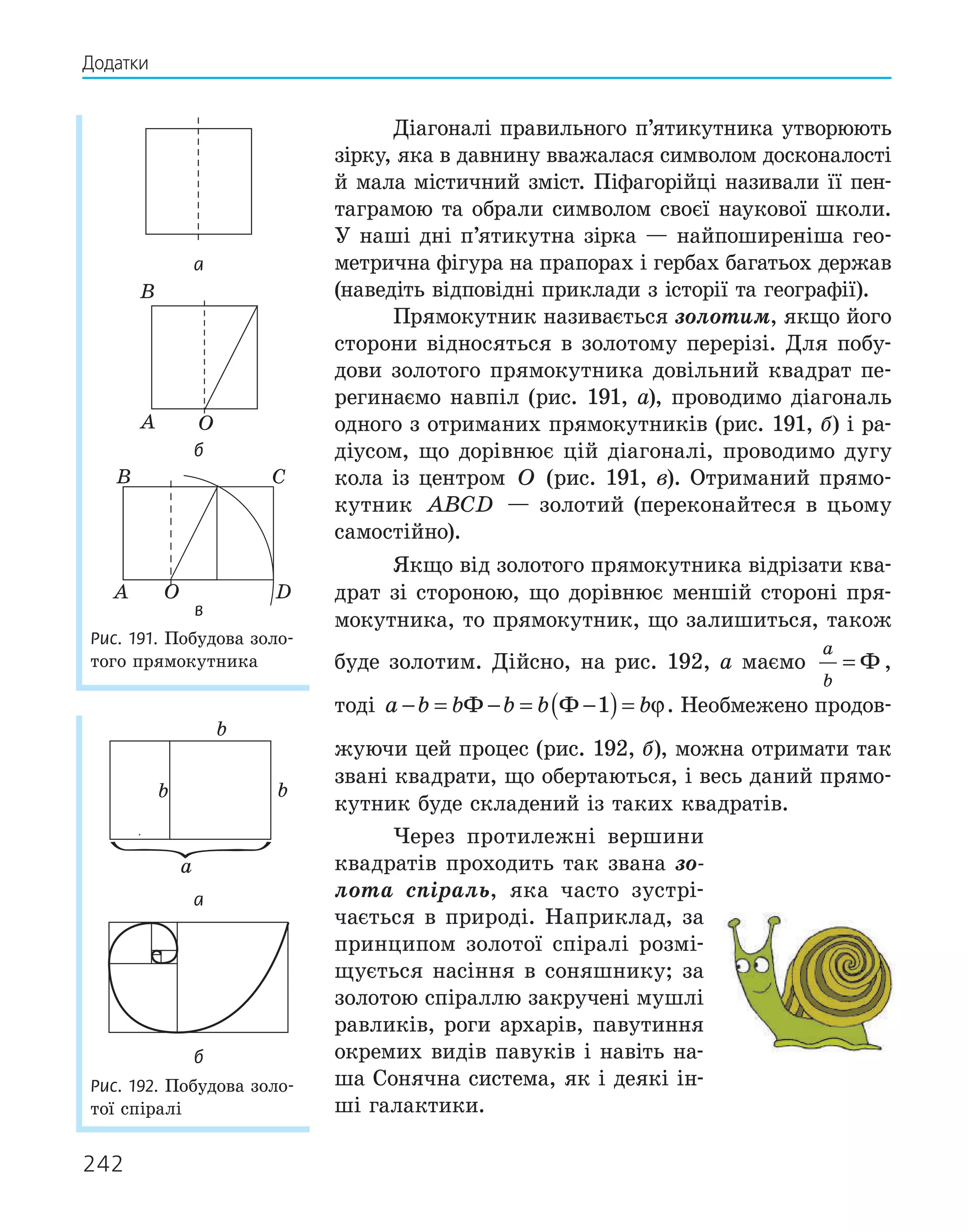 242
Діагоналі правильного п’ятикутника утворюють
зірку, яка в давнину вважалася символом досконалості
й мала містичний зміст. Піфагорійці називали її пен-
таграмою та обрали символом своєї наукової школи.
У наші дні п’ятикутна зірка — найпоширеніша гео-
метрична фігура на прапорах і гербах багатьох держав
(наведіть відповідні приклади з історії та географії).
Прямокутник називається золотим, якщо його
сторони відносяться в золотому перерізі. Для побу-
дови золотого прямокутника довільний квадрат пе-
регинаємо навпіл (рис. 191, а), проводимо діагональ
одного з отриманих прямокутників (рис. 191, б) і ра-
діусом, що дорівнює цій діагоналі, проводимо дугу
кола із центром O (рис. 191, в). Отриманий прямо-
кутник ABCD — золотий (переконайтеся в цьому
самостійно).
Якщо від золотого прямокутника відрізати ква-
драт зі стороною, що дорівнює меншій стороні пря-
мокутника, то прямокутник, що залишиться, також
буде золотим. Дійсно, на рис. 192, а маємо
a
b
= Ф ,
тоді a b b b b b
− = − = −
( )=
Ф Ф 1 ϕ. Необмежено продов-
жуючи цей процес (рис. 192, б), можна отримати так
звані квадрати, що обертаються, і весь даний прямо-
кутник буде складений із таких квадратів.
Через протилежні вершини
квадратів проходить так звана зо-
лота спіраль, яка часто зустрі-
чається в природі. Наприклад, за
принципом золотої спіралі розмі-
щується насіння в соняшнику; за
золотою спіраллю закручені мушлі
равликів, роги архарів, павутиння
окремих видів павуків і навіть на-
ша Сонячна система, як і деякі ін-
ші галактики.
а
A
B
O
б
C
D
O
A
B
в
Рис. 191. Побудова золо-
того прямокутника
a
b
b b
а
б
Рис. 192. Побудова золо-
тої спіралі
Додатки
 