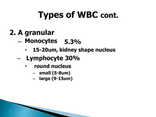 8- L3 White Blood Cells.pptx