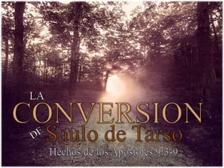 LA CONVERSION DE SAULO (Segunda Parte)