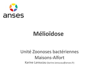 Mélioïdose
Unité Zoonoses bactériennes
Maisons-Alfort
Karine Laroucau (karine.laroucau@anses.fr)
 