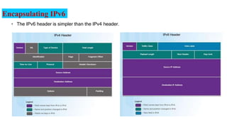 Encapsulating IPv6
• The IPv6 header is simpler than the IPv4 header.
 