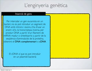 L’enginyeria genètica
                          Inserció de gens

         Per intercalar un gen eucariota en un
      bacteri, no es pot introduir un segment de
       DNA amb introns i exons, s’ha d’usar un
        enzim víric, la transcriptasa inversa, per
        produir DNA a partir d’un ﬁlament de
      mRNA madur o sintetitzar-lo a partir de la
        seqüència d’aminoàcids de la proteïna,
      obtenint el DNA complementari o cDNA



                 El cDNA sí que es pot introduir
                      en un plasmidi bacterià




dimarts 2 d’abril de 13
 