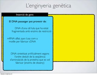 L’enginyeria genètica
                          Inserció de gens

                El DNA passatger pot provenir de:

                         DNA d’una cèl·lula que ha estat
                      fragmentada amb enzims de restricció

             mRNA aïllat, que s’usa com a
              motlle per fabricar cDNA



                   DNA sintetitzat artiﬁcialment segons
                      l’ordre deduït de la seqüència
                  d’aminoàcids de la proteïna que es vol
                        fabricar (enzims de disseny)



dimarts 2 d’abril de 13
 