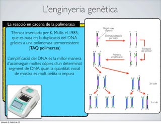 L’enginyeria genètica
       La reacció en cadena de la polimerasa
                                                      Regió a ser
                                                       copiada
           Tècnica inventada per K. Mullis el 1985,
                                                       Desnaturalització
            que es basa en la duplicació del DNA          per calor

           gràcies a una polimerasa termoresistent
                      (TAQ polimerasa)                                     Alineació
                                                                           del primer
                                                              Primera
                                                             ampliﬁcació
       L’ampliﬁcació del DNA és la millor manera
       d’aconseguir moltes còpies d’un determinat
        segment de DNA quan la quantitat inicial
           de mostra és molt petita o impura

                                                                                  2n cicle




                                                                                    3r cicle




dimarts 2 d’abril de 13
 