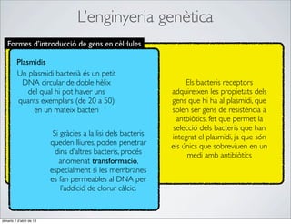 L’enginyeria genètica
   Formes d’introducció de gens en cèl·lules

         Plasmidis
         Un plasmidi bacterià és un petit
           DNA circular de doble hèlix                               Els bacteris receptors
             del qual hi pot haver uns                          adquireixen les propietats dels
         quants exemplars (de 20 a 50)                          gens que hi ha al plasmidi, que
               en un mateix bacteri                             solen ser gens de resistència a
                                                                 antbiòtics, fet que permet la
                                                                selecció dels bacteris que han
                           Si gràcies a la lisi dels bacteris   integrat el plasmidi, ja que són
                          queden lliures, poden penetrar        els únics que sobreviuen en un
                            dins d’altres bacteris, procés           medi amb antibiòtics
                             anomenat transformació,
                          especialment si les membranes
                          es fan permeables al DNA per
                              l’addició de clorur càlcic.


dimarts 2 d’abril de 13
 