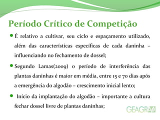Período Crítico de Competição 
É relativo a cultivar, seu ciclo e espaçamento utilizado, 
além das características específicas de cada daninha – 
influenciando no fechamento de dossel; 
Segundo Lamas(2009) o período de interferência das 
plantas daninhas é maior em média, entre 15 e 70 dias após 
a emergência do algodão – crescimento inicial lento; 
 Início da implantação do algodão – importante a cultura 
fechar dossel livre de plantas daninhas; 
 