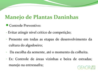 Manejo de Plantas Daninhas 
Controle Preventivo: 
- Evitar atingir nível crítico de competição; 
- Presente em todas as etapas de desenvolvimento da 
cultura do algodoeiro; 
- Da escolha da semente, até o momento da colheita. 
- Ex: Controle de áreas vizinhas e beira de estradas; 
manejo na entressafra; 
 