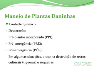 Manejo de Plantas Daninhas 
Controle Químico: 
- Dessecação; 
- Pré-plantio incorporado (PPI); 
- Pré-emergência (PRÉ); 
- Pós-emergência (PÓS). 
Em algumas situações, o uso na destruição de restos 
culturais (tigueras) e soqueiras. 
 