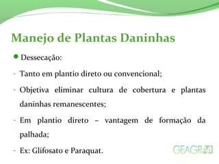 Manejo de Plantas Daninhas 
Dessecação: 
- Tanto em plantio direto ou convencional; 
- Objetiva eliminar cultura de cobertura e plantas 
daninhas remanescentes; 
- Em plantio direto – vantagem de formação da 
palhada; 
- Ex: Glifosato e Paraquat. 
 