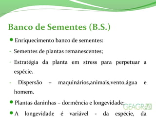 Banco de Sementes (B.S.) 
Enriquecimento banco de sementes: 
- Sementes de plantas remanescentes; 
- Estratégia da planta em stress para perpetuar a 
espécie. 
- Dispersão – maquinários,animais,vento,água e 
homem. 
Plantas daninhas – dormência e longevidade; 
A longevidade é variável - da espécie, da 
 