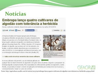 Notícias 
Fonte: http://agricultura.ruralbr.com.br/noticia/2013/09/embrapa-lanca-quatro-cultivares-de-algodao-com-tolerancia-a-herbicida-4255141.html 
 