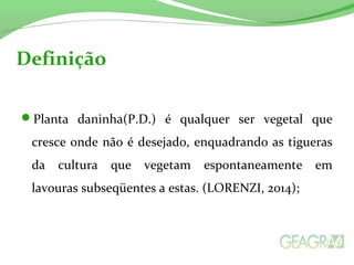 Definição 
Planta daninha(P.D.) é qualquer ser vegetal que 
cresce onde não é desejado, enquadrando as tigueras 
da cultura que vegetam espontaneamente em 
lavouras subseqüentes a estas. (LORENZI, 2014); 
 